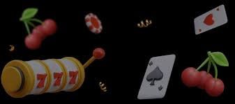 dp333